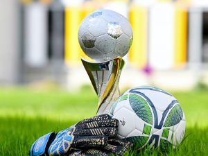 Der Turnier-Pokal, davor im Gras liegend Torwart-Handschuhe und ein Fußball (Foto: Volker Beushausen)