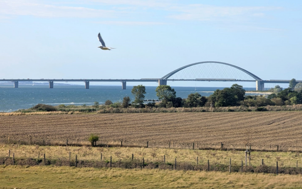 Fehmarnbrücke (Foto: Leana Kriese)